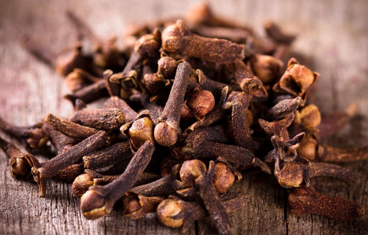CLOVE