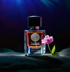 Lovely Night Unisex