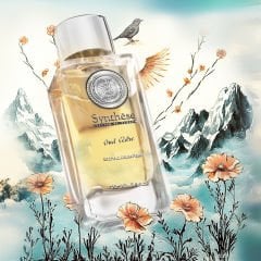 Oud Cedre Unisex Parfum