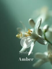 Amber Reed Diffuser